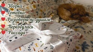 Почти ТИХИЙ ВЛОГ