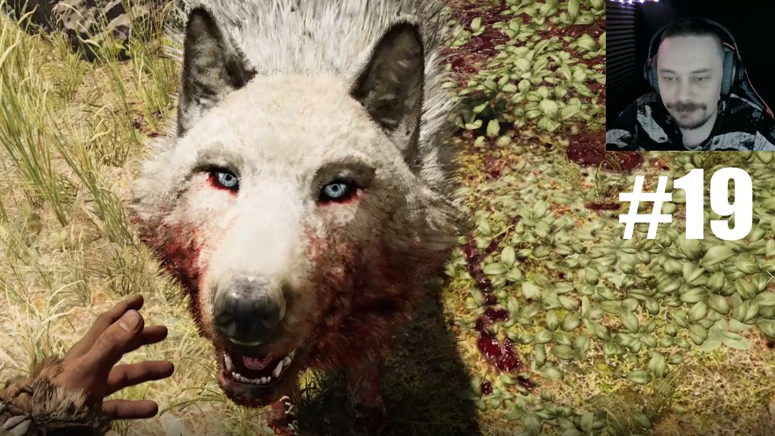 Far Cry Primal ► Душный Ледоволк #19