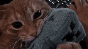 Первое видео☺️😜