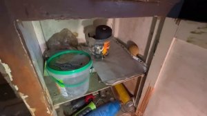 ВСТРЕТИЛ ЭТО В ЗАБРОШЕННОМ ДОМЕ