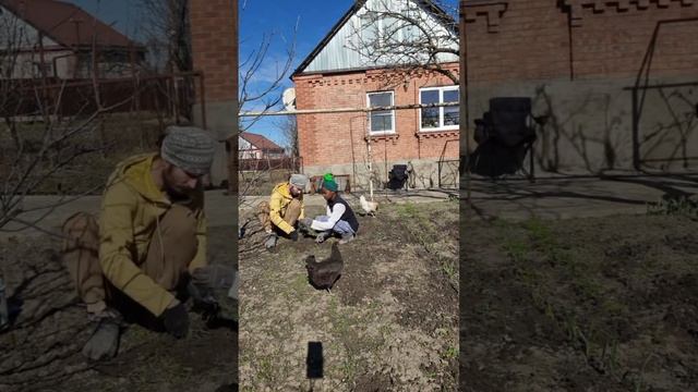 EGOIST в прямом эфире.