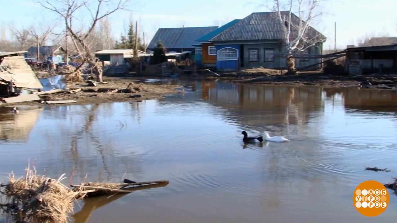 Весна пришла. Готовимся к половодью? Доброе утро. Фрагмент выпуска от 02.03.2026 смотреть онлайн