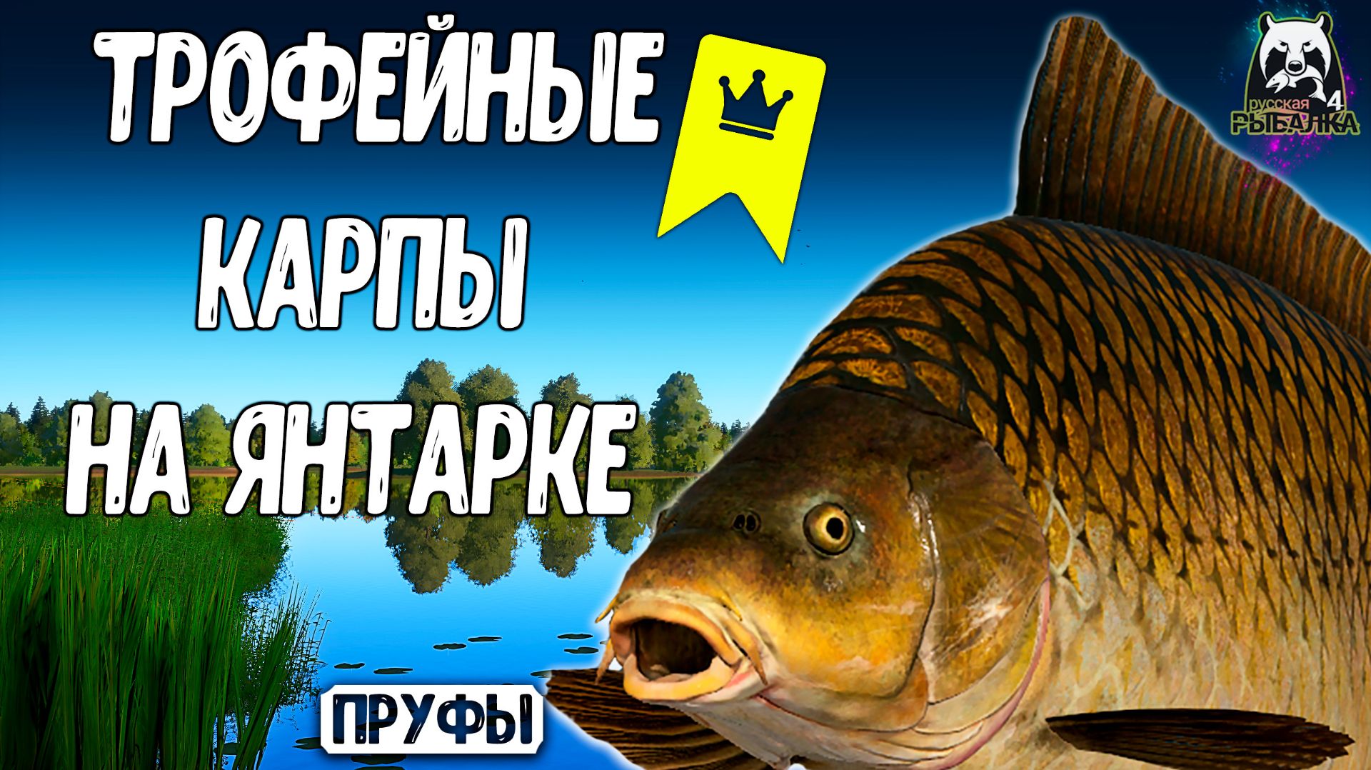 Я просто ловил трофейных карпов на Янтарке #рр4