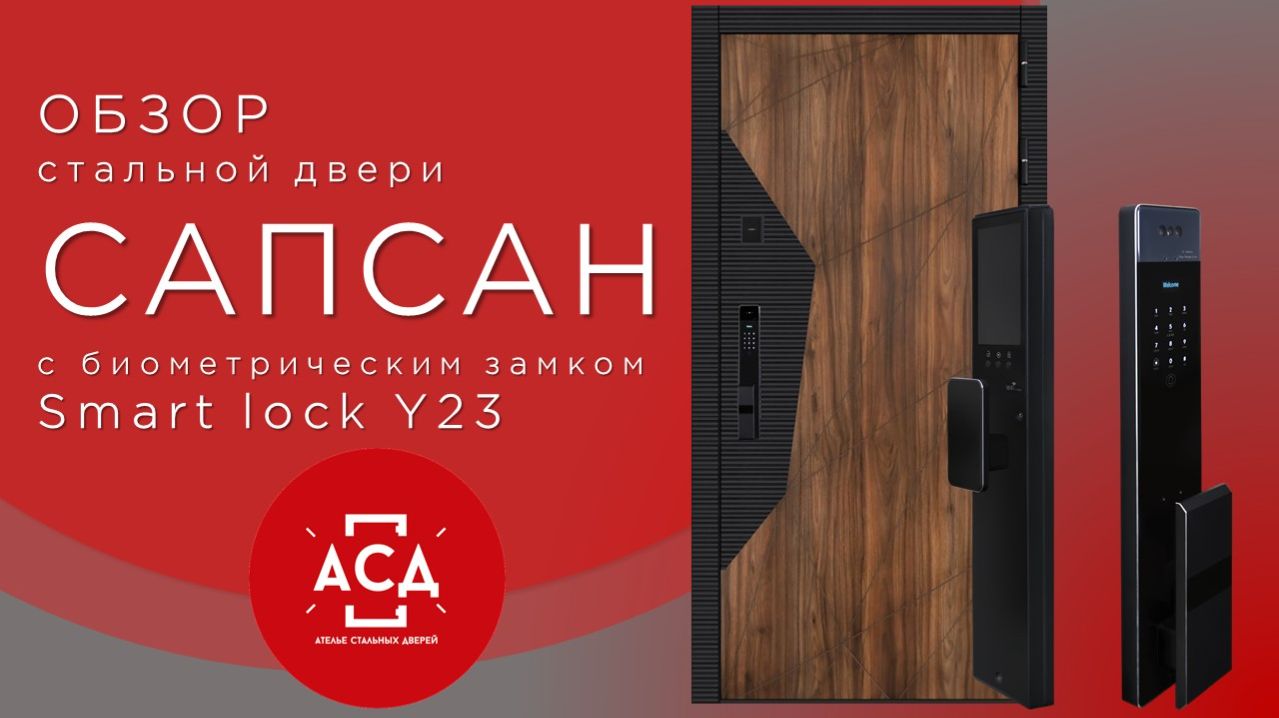 Стальная дверь Сапсан (биометрический замок smart lock Y23)