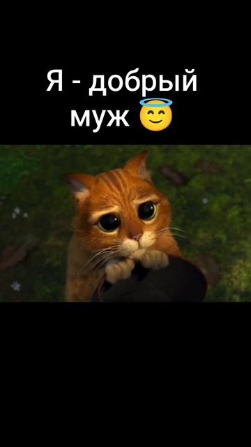 В каждой семье есть эти двое) #семьявместе #мужжена #котшрек #каксчитаю #папатрехпринцесс #прикол