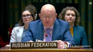 Апти Алаудинов "АХМАТ". Выступление Василия Небензи на заседании Совета Безопасности ООН