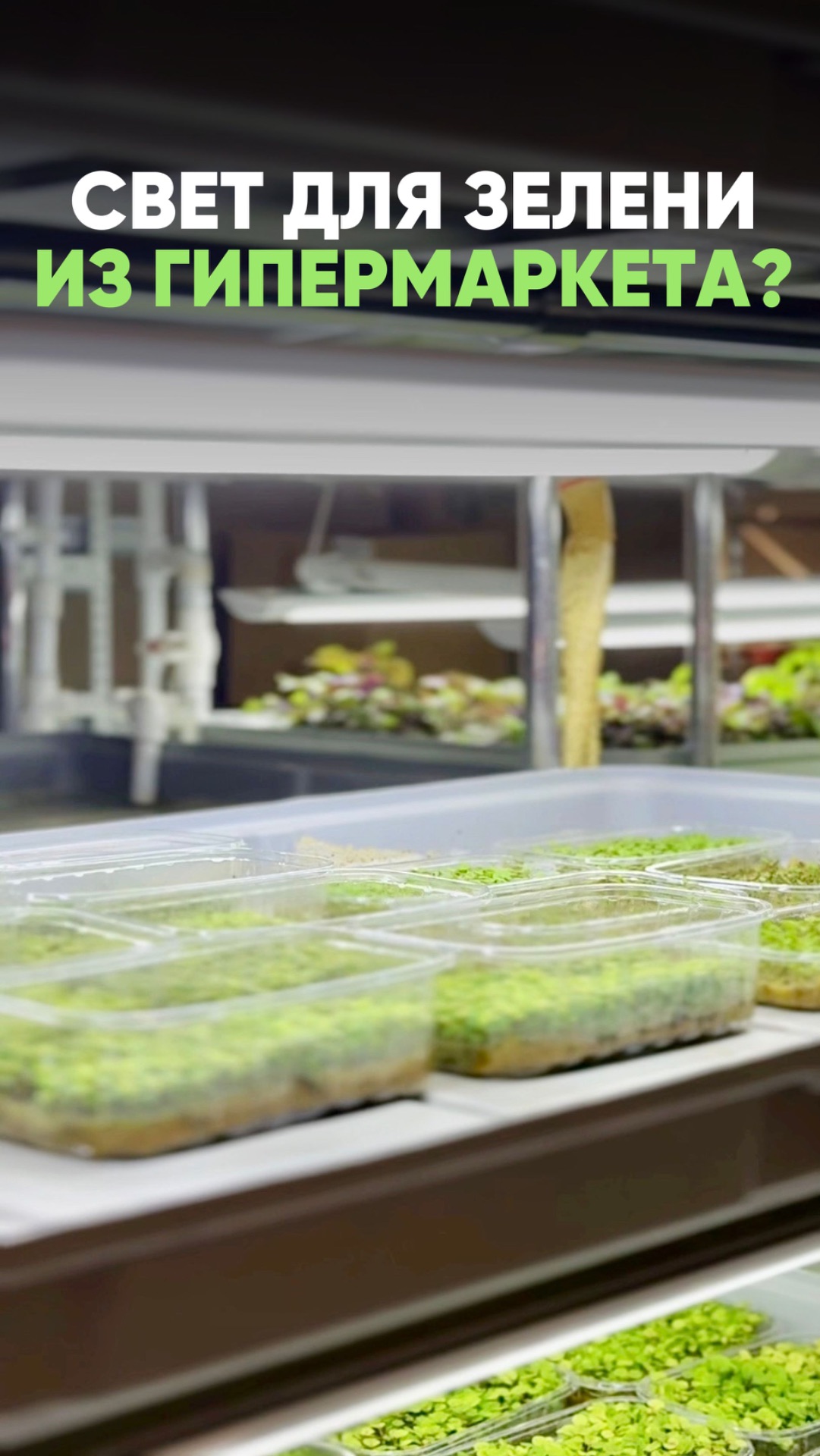 🛒 Свет для растений из гипермаркета «Лемана Про» — подойдет?