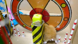 Спасите рождественские подарки вместе с хомячком Сантой из «Историй про хомяков»