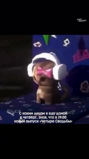 Встречаемся у телика!
