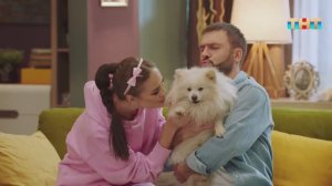 Однажды в квартире собачников