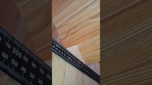 1000049589.mp4 (Собака наблюдает за устройством лестницы на 2-ой этаж в доме А-фрейм)