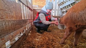 Время уже не то. Приучаемся к ведру.