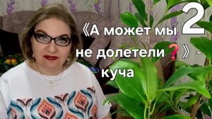 2 часть. 《А может мы не долетели❓️》- куча
