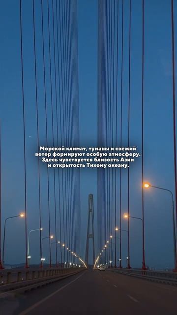 Владивосток — это сочетание моря и динамики портового города