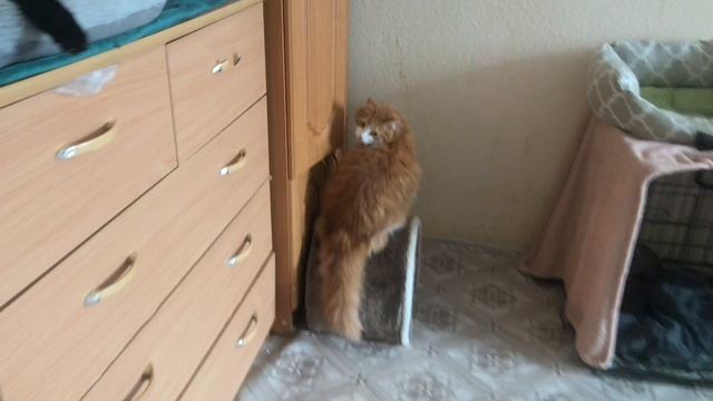 У нас всё как обычно