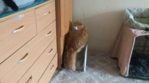 У нас всё как обычно