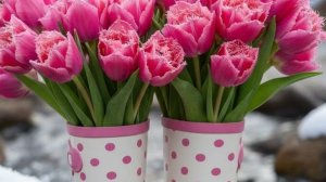 ВЕСНА ШАГАЕТ В ЦВЕТАХ 🌸👟