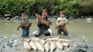 Осушаю пруд, чтобы поймать гигантскую рыбу вместе с маленьким ребенком. Уход за поросятами. Дуонг