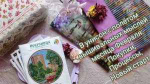 25. В унисон с полётом вышивальных мыслей месяца Февраля: покупки, процессы, новый старт