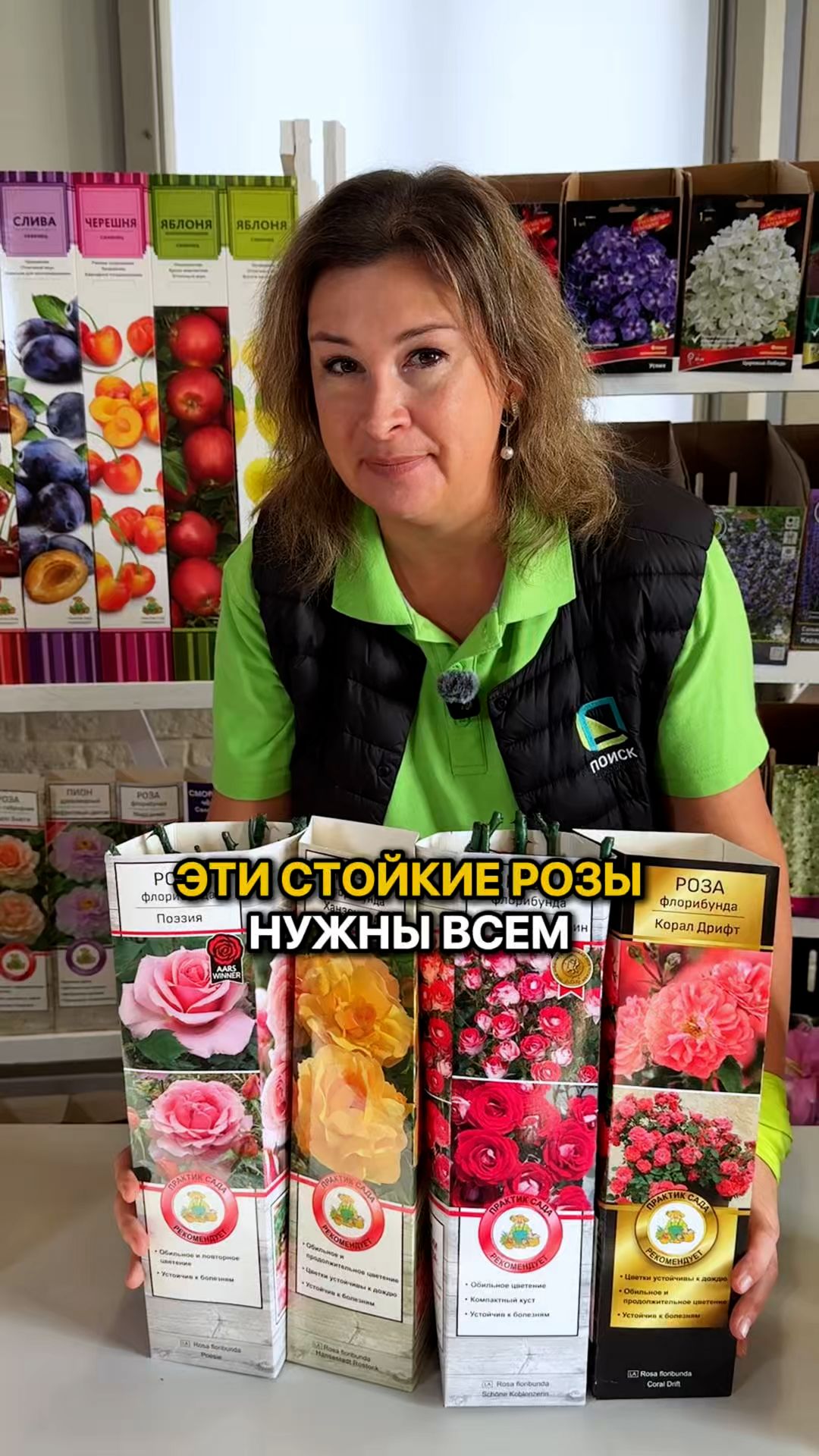 ТОП-4 сорта СТОЙКИХ РОЗ!