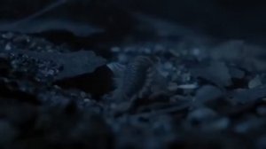 Дикая природа России.Часть 11👍