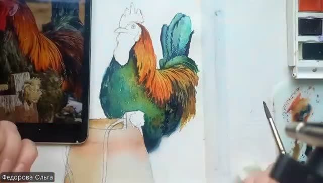 Акварель. Радужный петух