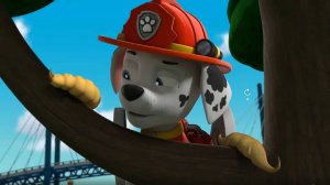 Щенячий патруль. Маршалл. Мэр Гудвэй. Щенки выезжают. Трек джунглевый спасатель. Скай Ч20