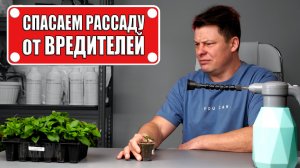 Спасите рассаду от вредителей! Актарофит 1.8, 0.2 и Е, дозировка и способ применения
