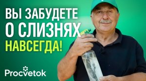 СЛИЗНИ И УЛИТКИ ИСЧЕЗНУТ, если осенью посыпать грядки этим порошком!