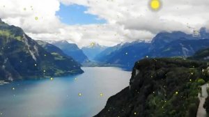 Подобрав_На_Свалке_Сиротокблиз24