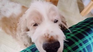 Это любовь.