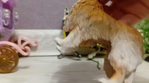 Обзор на нового жильца + новости (конюшня, лошади Шляйх)