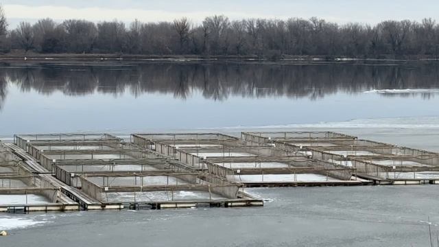 Астрахань. Ледоход на реке я Бузан.