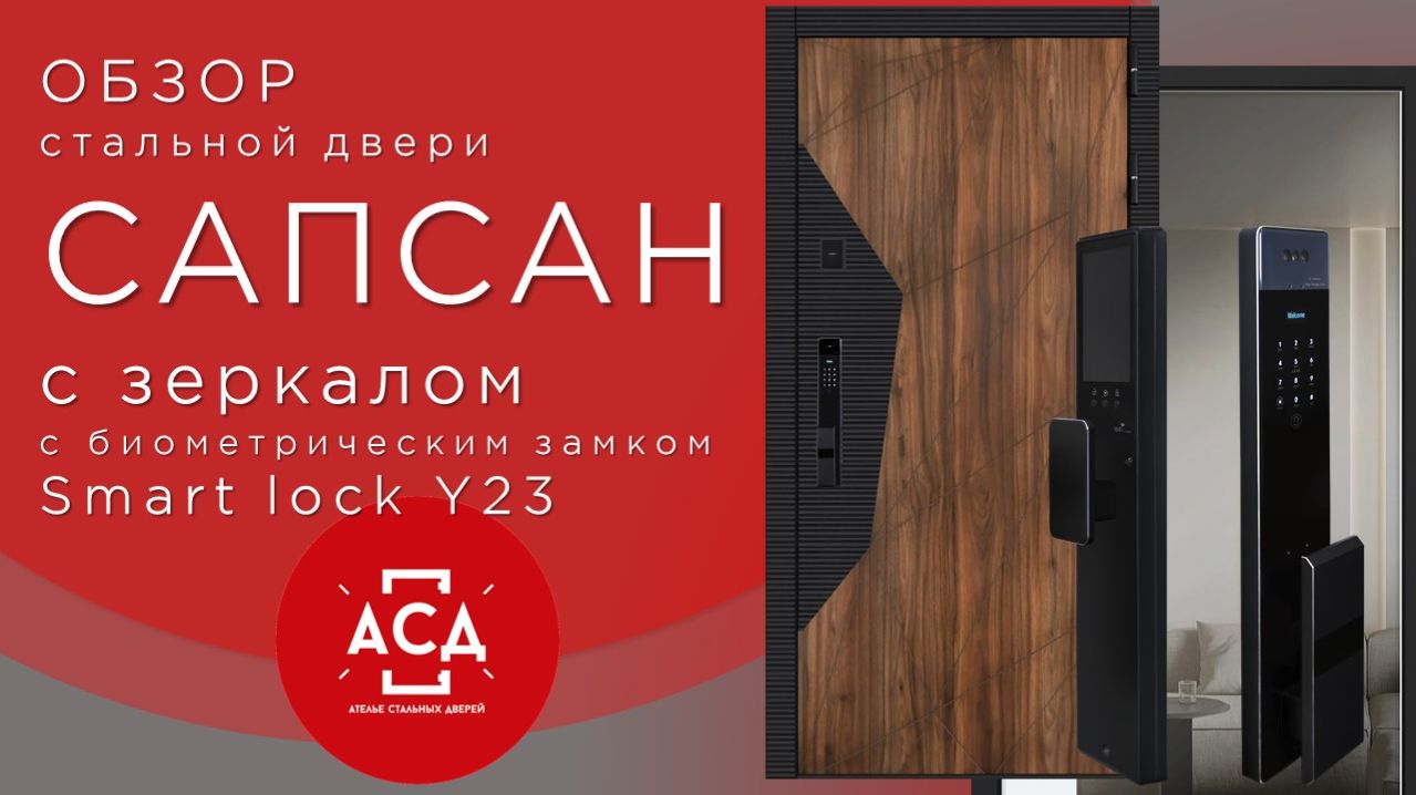 Стальная дверь Сапсан с зеркалом (биометрический замок Smart lock Y23)
