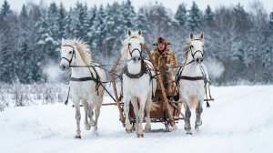 Русская тройка. В чем секрет легендарной упряжки?