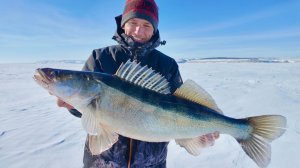 МОНСТРЫ ВОЛГОГРАДСКОГО ВОДОХРАНИЛИЩА. РЫБАЛКА ПО ЗАСНЕЖЕННОМУ ЛЬДУ