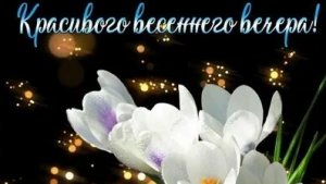 С добрым весенним вечером. Шикарная музыкальная открытка.