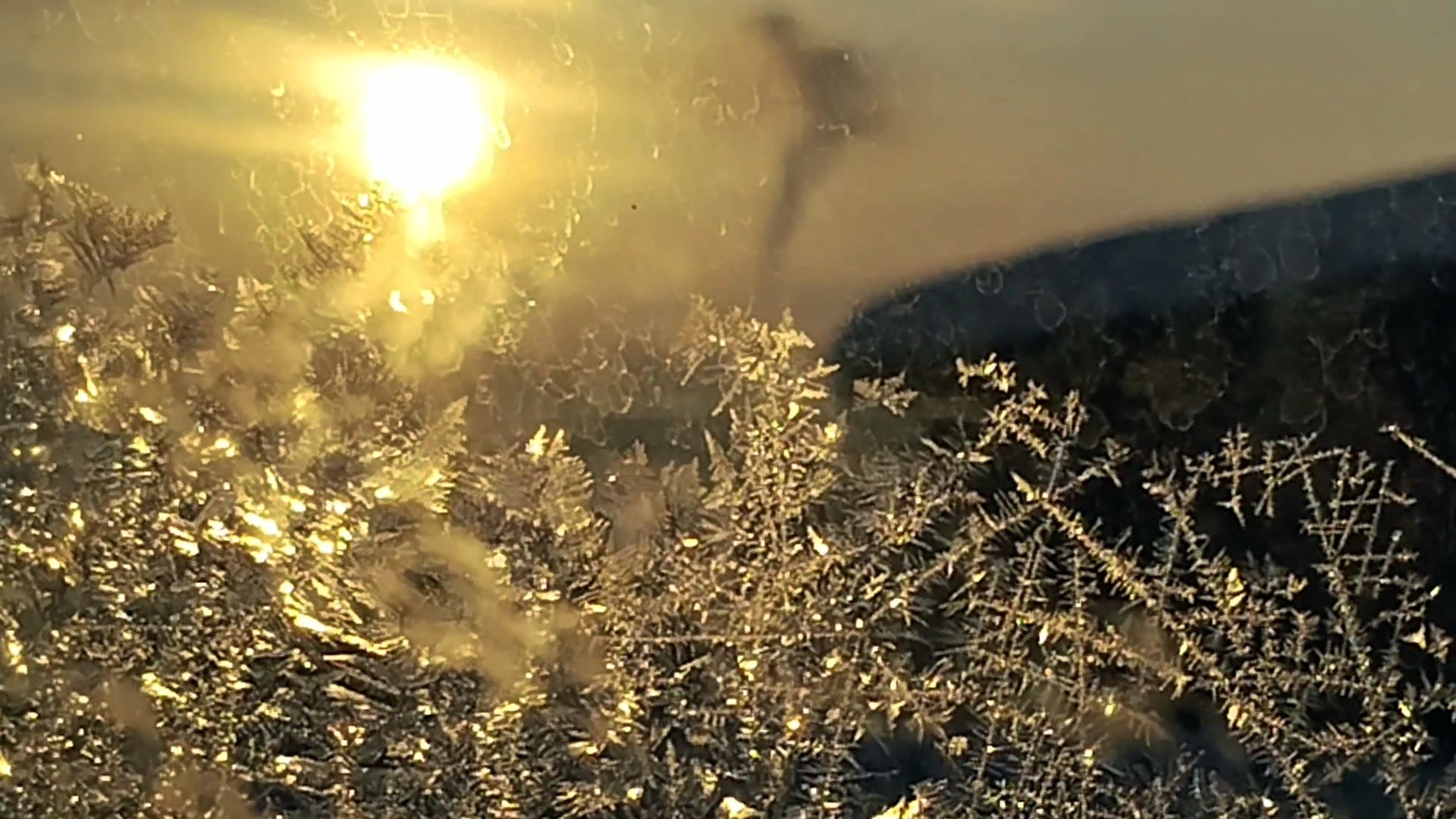 Ценителям тонкой красоты! Прощальные подарки зимы! Красота!  02-03-2026