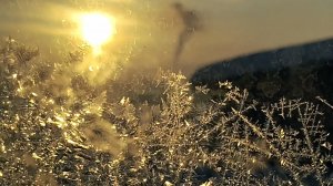 Ценителям тонкой красоты! Прощальные подарки зимы! Красота!  02-03-2026