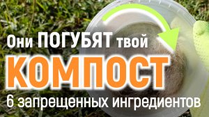 Это НЕЛЬЗЯ КЛАСТЬ в КОМПОСТ. 6 компостных табу