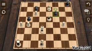 Игра в шахматы! Yura0_001)))