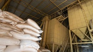 Первый завод по производству кормов для рыб запустили в Кыргызстане