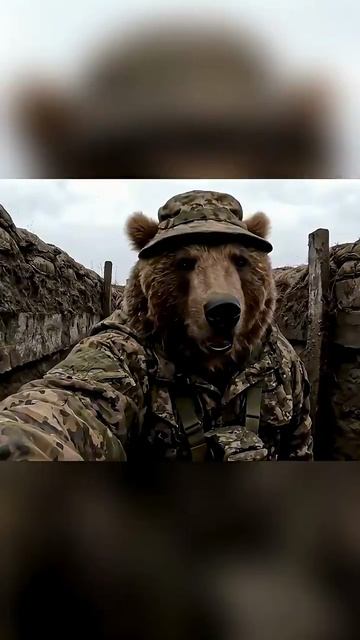 Михалыч и Потапыч в штурмах № 1