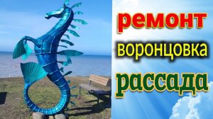 Ейск. Воронцовка. Ремонт. Посеяла помидоры. Конёк. Обрывы.
