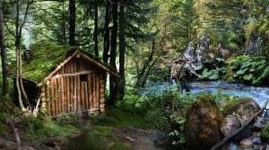 2 дня в отдаленной лесной хижине / Ловля и приготовление пищи / Сбор пищи, выживание в дикой природе