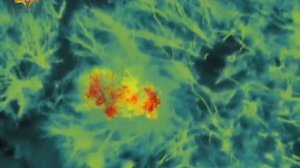 Апти Алаудинов "АХМАТ". Уничтожение укрывшейся живой силы противника