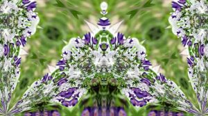 Видеофоны! Видеофон Подснежники 9! Футаж от Киностудии Мудрого Кота Тимофея!