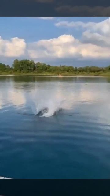 Эффектный вход в воду