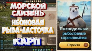 БДО. Морской слизень, Неоновая рыба-ласточка. Карп. Рыболовные соревнования. 02-07.03 2025.