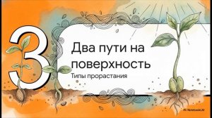 Биология 6 класс параграф 23 ПРОРАСТАНИЕ СЕМЯН краткий пересказ Пасечник